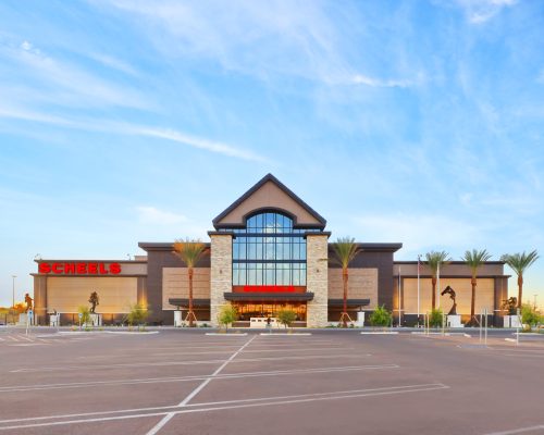 Exterior view of scheels sporting goods store with a large parking lot and palm trees under a clear blue sky.