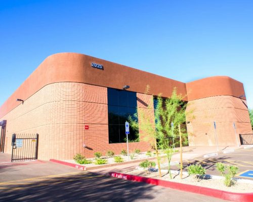 Modern brick office building with blue windows under a clear sky.